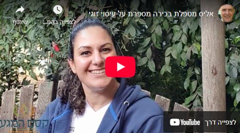 כיסוי לסרטון יוטיוב